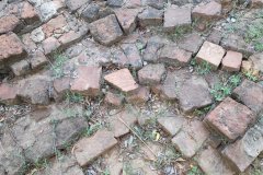 IMG_20190714_082638